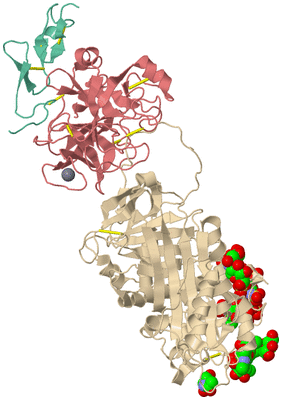 Image Biological Unit 1