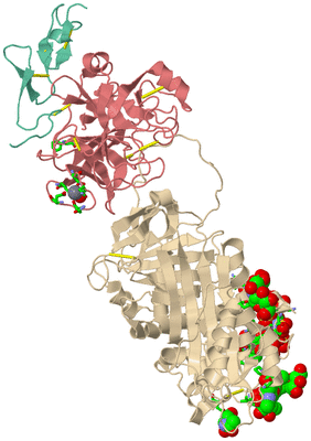 Image Biol. Unit 1 - sites