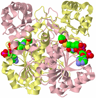 Image Biological Unit 2