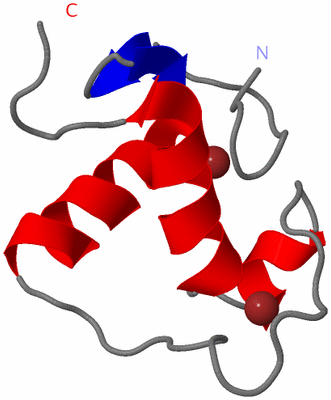 Image NMR Structure - model 1