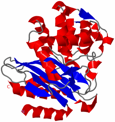 Image Asym./Biol. Unit