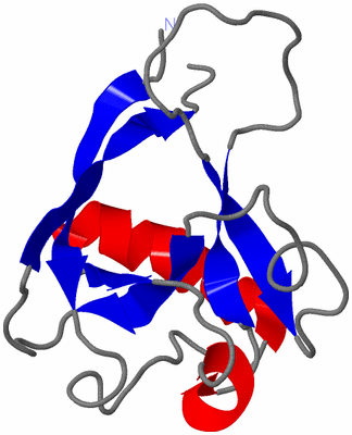 Image NMR Structure - model 1