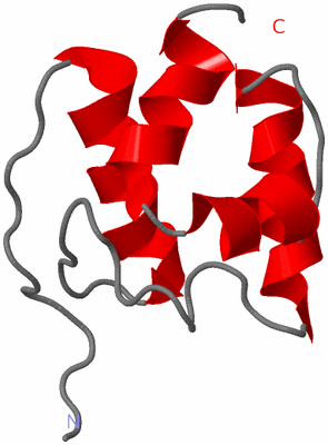 Image NMR Structure - model 1