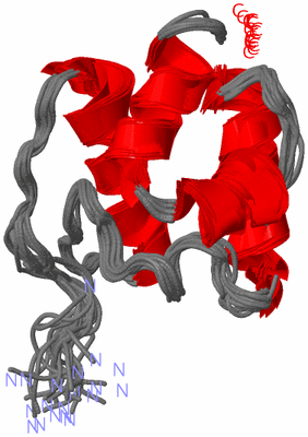 Image NMR Structure - all models