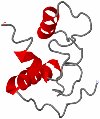 Image NMR Structure - model 1