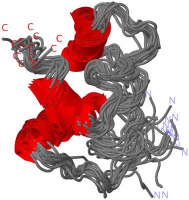 Image NMR Structure - all models