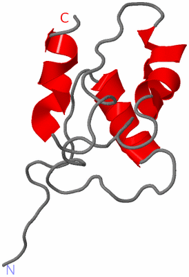 Image NMR Structure - model 1