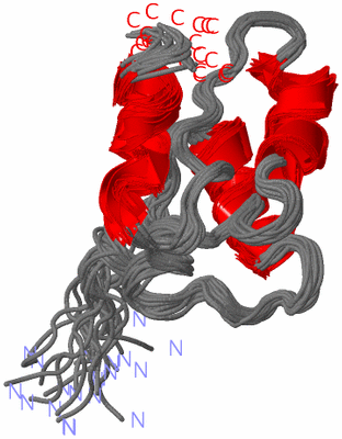 Image NMR Structure - all models