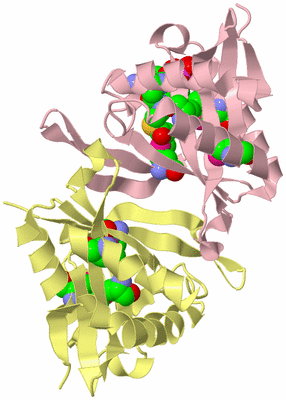 Image Biological Unit 2