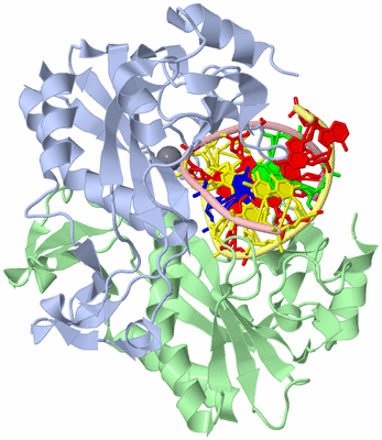 Image Asym./Biol. Unit