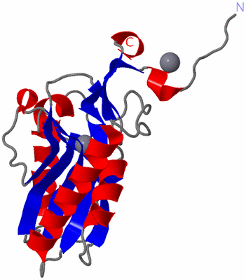 Image Asymmetric Unit