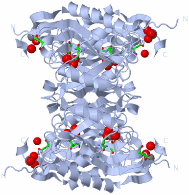 Image Biol. Unit 1 - sites