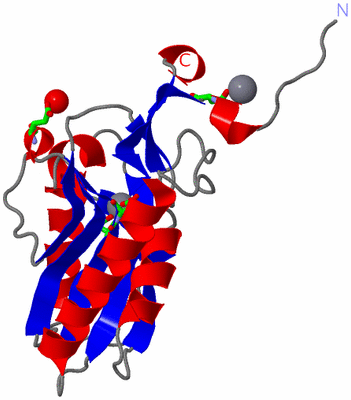 Image Asym. Unit - sites