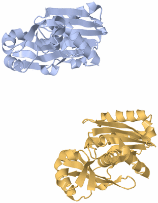 Image Asymmetric Unit