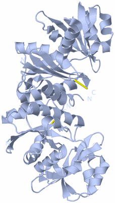 Image Biological Unit 1