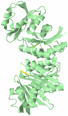 Image Biological Unit 2