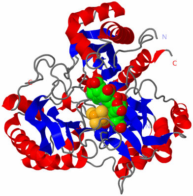 Image Asym./Biol. Unit