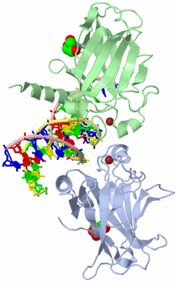 Image Asym./Biol. Unit