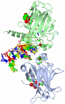 Image Asym./Biol. Unit - sites