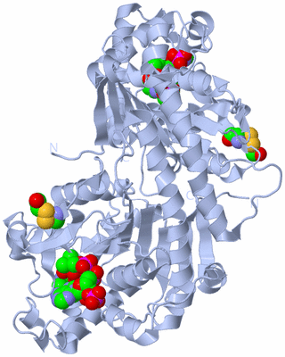 Image Biological Unit 1