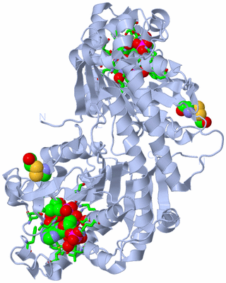 Image Biol. Unit 1 - sites