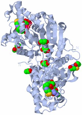 Image Biological Unit 1