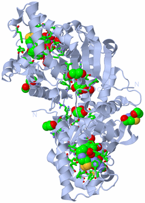 Image Biol. Unit 1 - sites