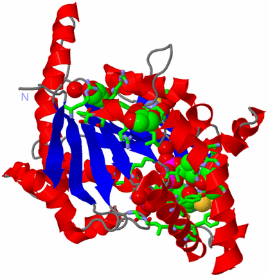 Image Asym. Unit - sites