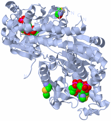 Image Biological Unit 1