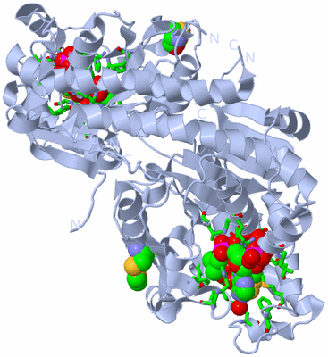 Image Biol. Unit 1 - sites