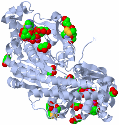 Image Biological Unit 1