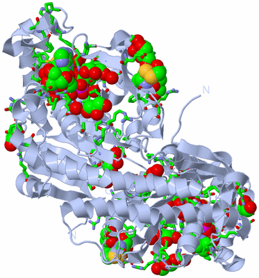 Image Biol. Unit 1 - sites