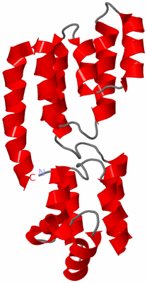 Image NMR Structure - model 1