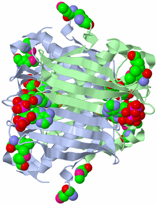 Image Biological Unit 1