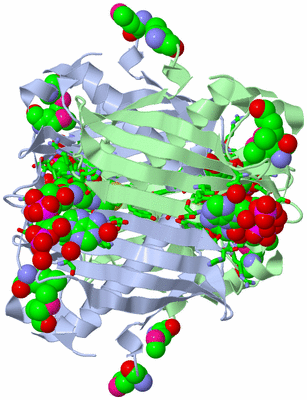 Image Biol. Unit 1 - sites