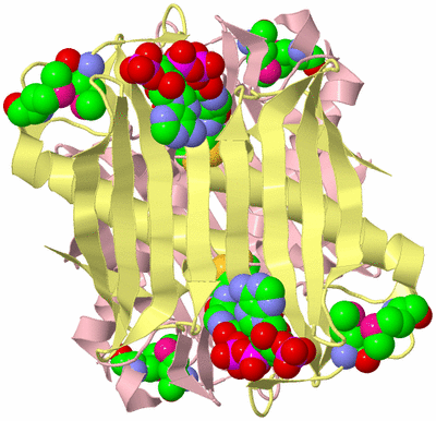 Image Biological Unit 2