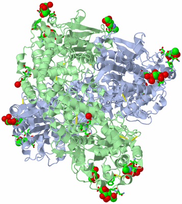 Image Biol. Unit 1 - sites