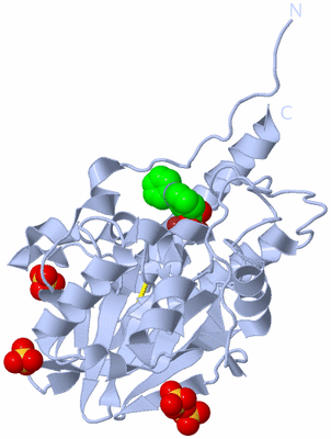 Image Biological Unit 1