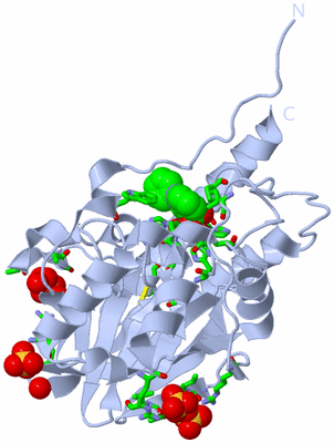 Image Biol. Unit 1 - sites