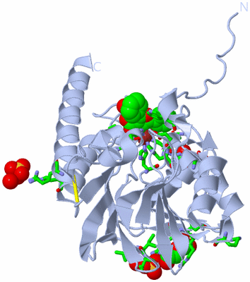 Image Biol. Unit 1 - sites