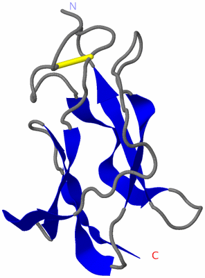 Image NMR Structure - model 1