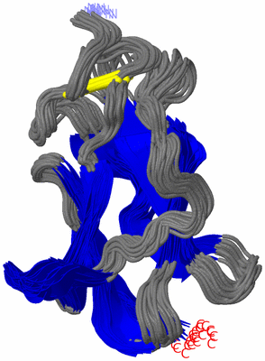 Image NMR Structure - all models