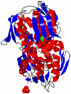 Image Asym./Biol. Unit