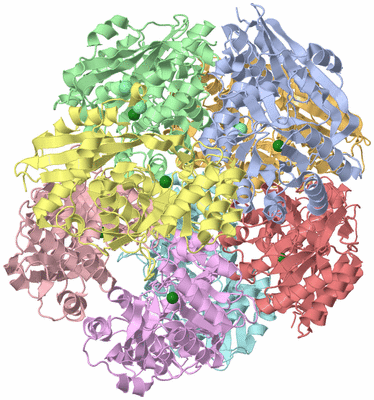 Image Asym./Biol. Unit