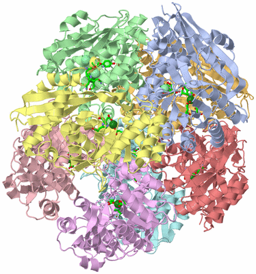 Image Asym./Biol. Unit - sites