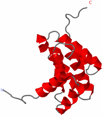 Image NMR Structure - model 1