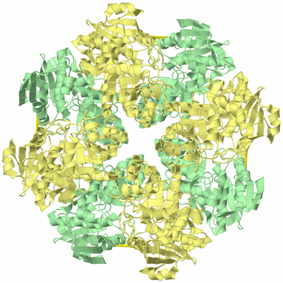 Image Biological Unit 2