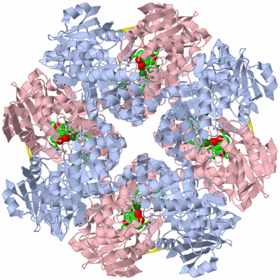 Image Biol. Unit 1 - sites