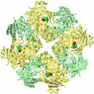 Image Biological Unit 2