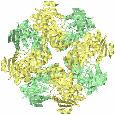 Image Biological Unit 2